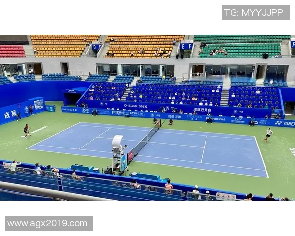 成都网球队在阵地战中的表现分析与未来发展方向探讨